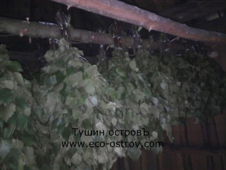 Веник липовый - 200 руб/шт